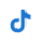 Tik tok icon
